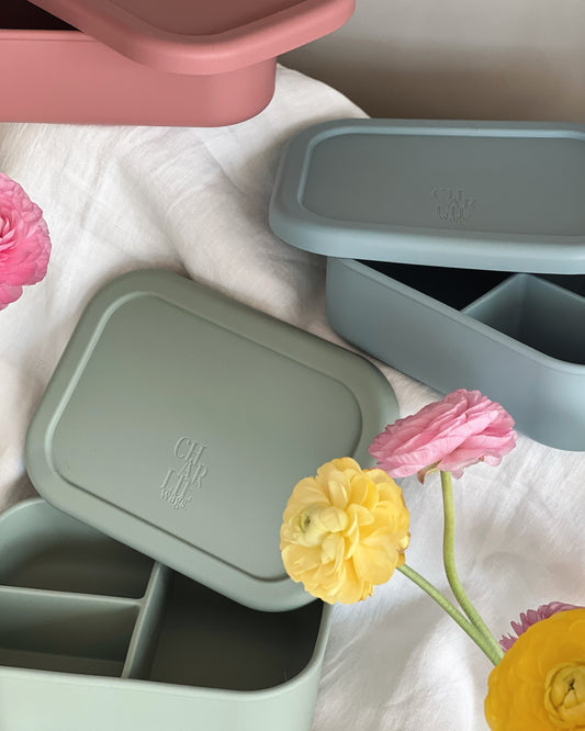 Silicone Bento Lunch Box